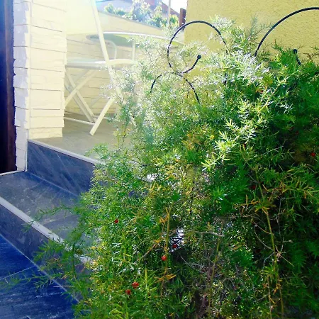 Appartamento Charming In With Private Pool - 66 M² *