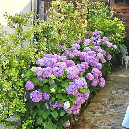 Charming In With Private Pool - 66 M² Appartamento Zara