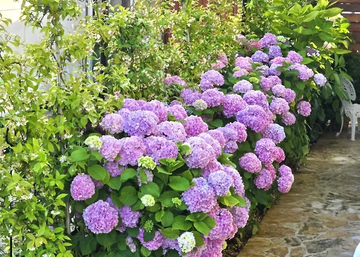 Charming In With Private Pool - 66 M² Daire Zadar